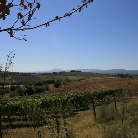 Fattoria Le Chianacce * Cortona